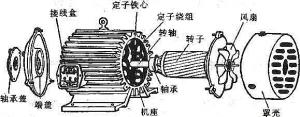 振動(dòng)電機(jī)損壞的常見原因有哪些？